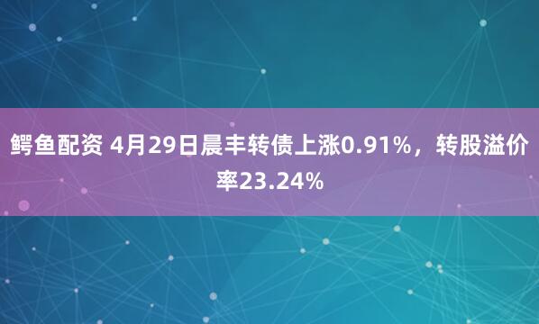 鳄鱼配资 4月29日晨丰转债上涨0.91%，转股溢价率23.24%